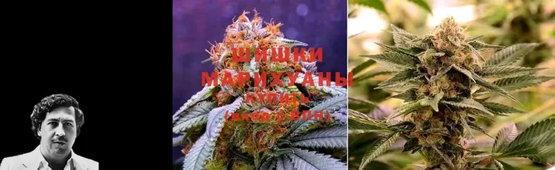 купить  цена  Изобильный  Бошки марихуана White Widow 